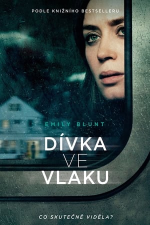 Dívka ve vlaku