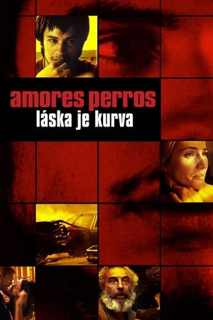 Amores perros – Láska je kurva