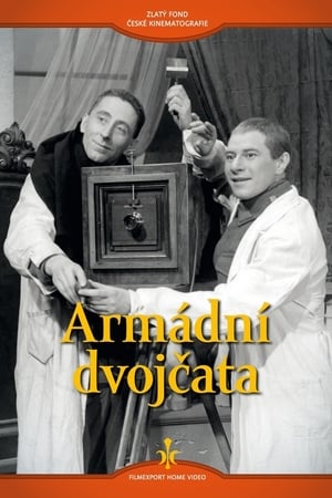 Armádní dvojčata