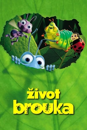 Život brouka